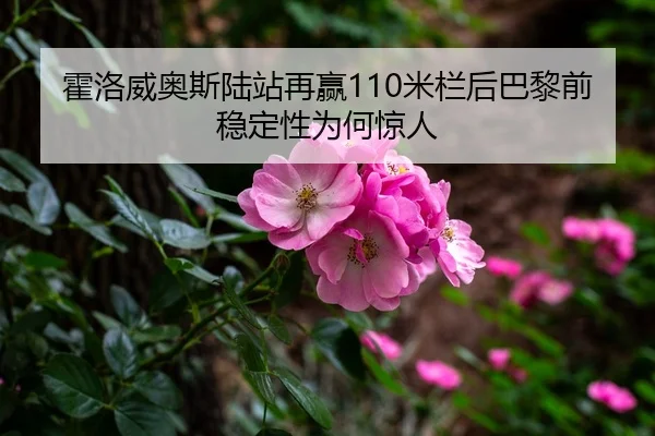 霍洛威奥斯陆站再赢110米栏后巴黎前稳定性为何惊人
