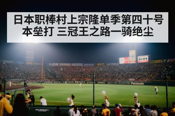 baseball stadium night game